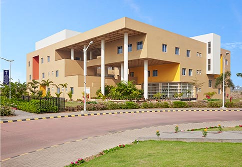 Institute of Nursing Sciences